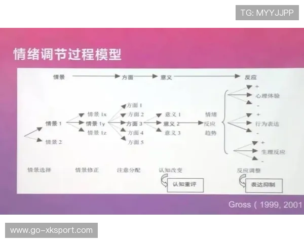 资深选手的心理防御：他是如何通过情绪管控维持长线对战状态的